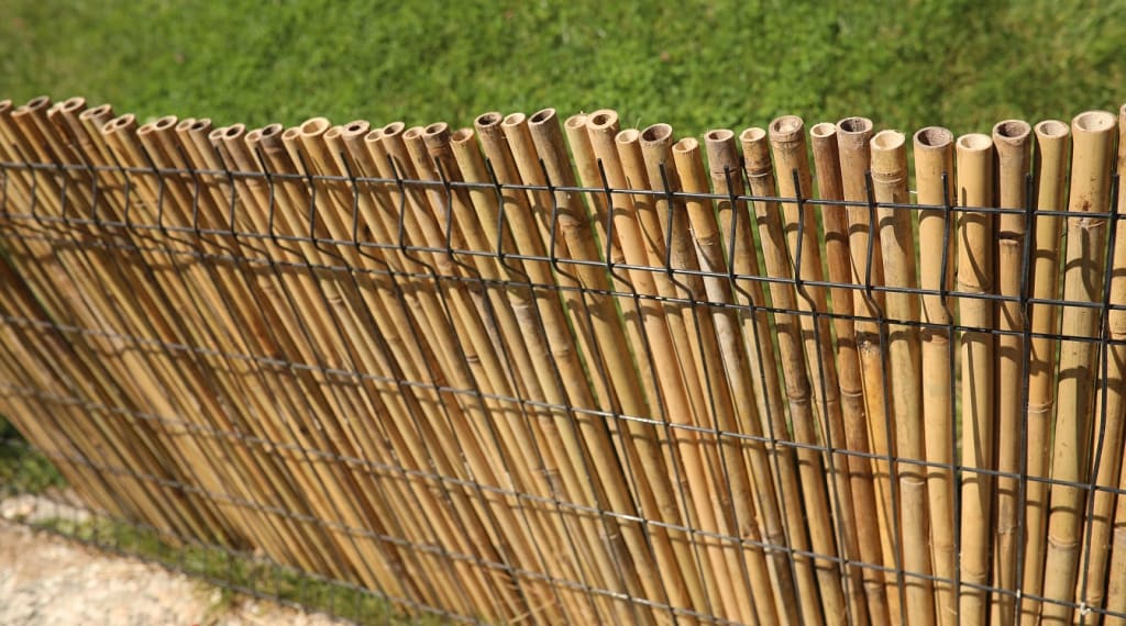 Bambu Çitlerle Çevre Dostu Çözümler Sunuyoruz