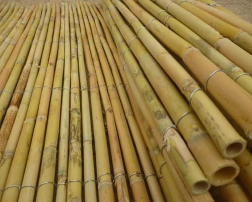 Sürdürülebilir Bambu Ürünleriyle Yeşil Bir Gelecek İnşa Ediyoruz
